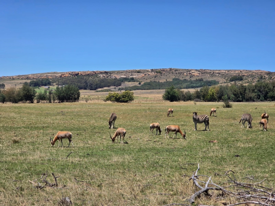 8 Bedroom Property for Sale in Bethlehem Rural Free State